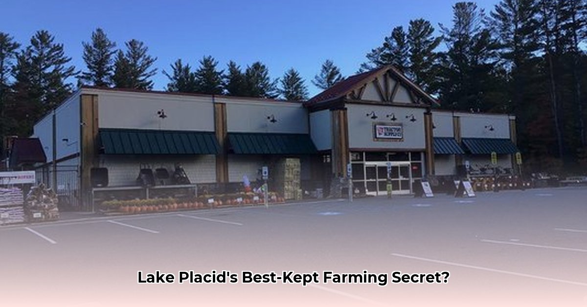 tractor-supply-lake-placid-florida
